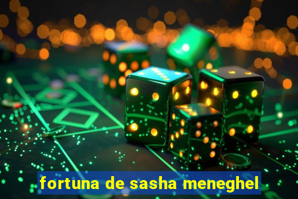 fortuna de sasha meneghel